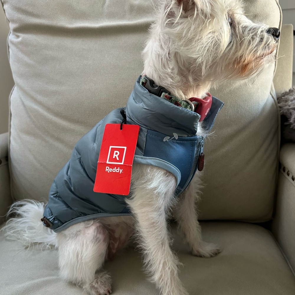 Reddy Blue Dog Jacket